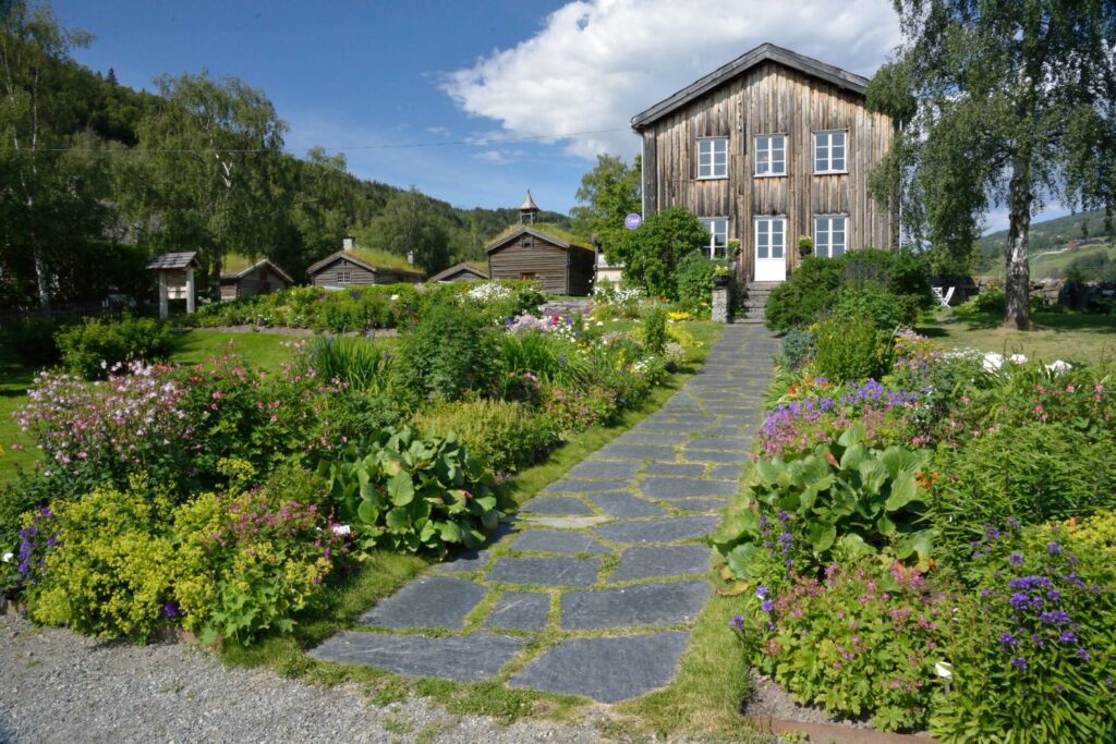 Fotografi av Ullinsvin. Foto: Stein Holen.