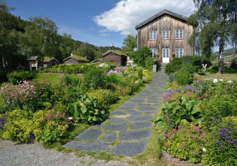 Fotografi av Ullinsvin. Foto: Stein Holen.
