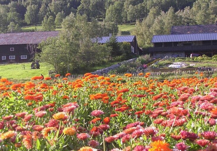 Bilete av Aukrust Gard og Ysteri i Lom